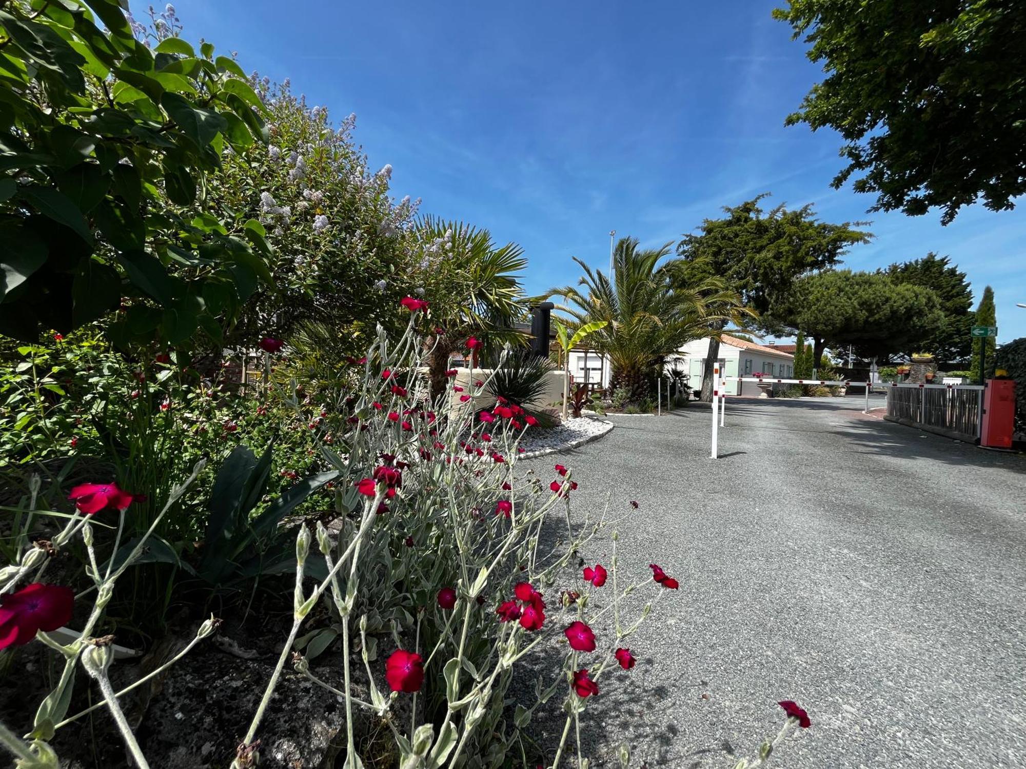 Hotel Camping La Chenaie Les Mathes Exteriér fotografie